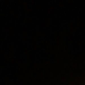 Meet your Posher, Reneé